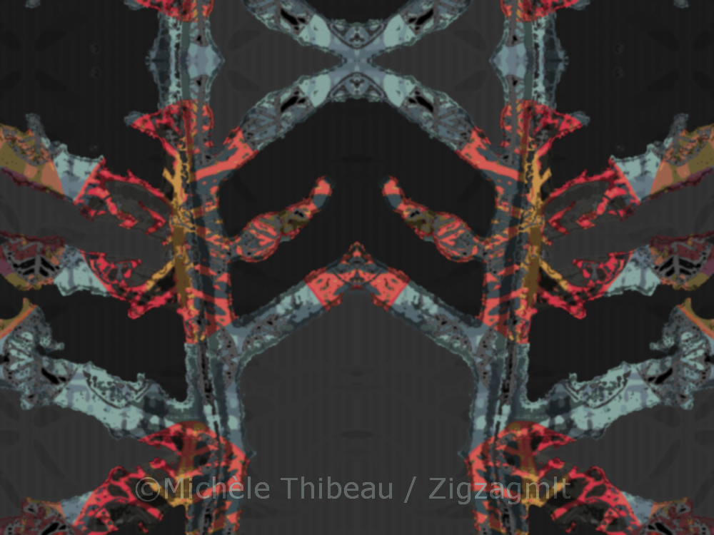 Colourful Plant Skeleton Here it is the skeleton of the leaves that is highlighted. Again, exploring the results of colouring with other patterns.