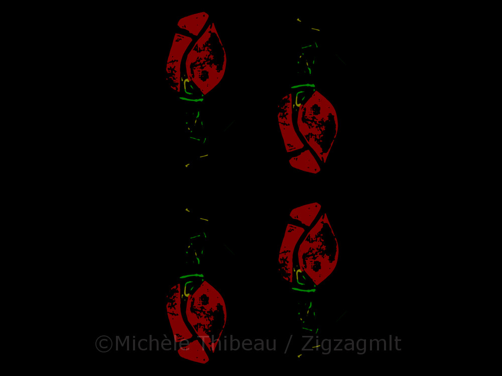 The simplicity and elegance of these roses are set neatly against a black background in this repeat pattern.