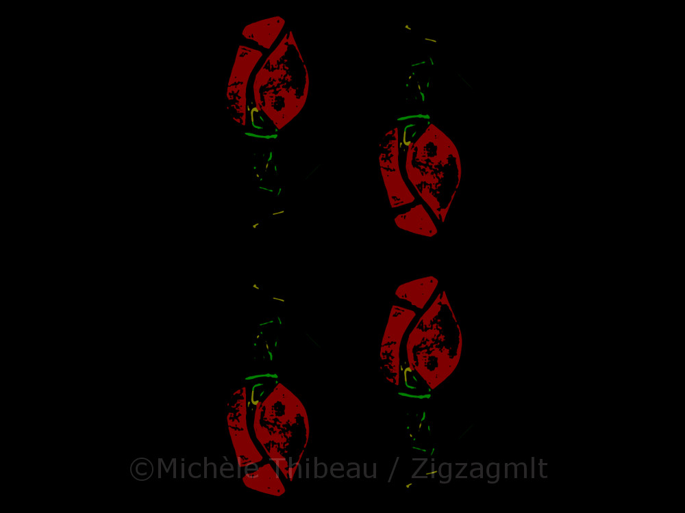 D's Rose x 4 The simplicity and elegance of these roses are set neatly against a black background in this repeat pattern.