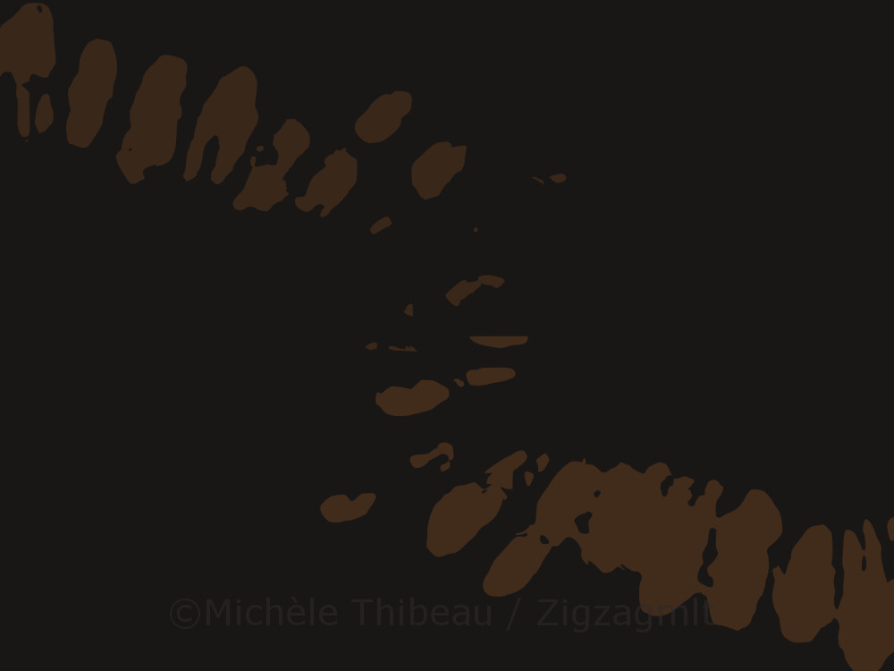 These intriguingly-shaped spots seem to dance across the image. This is one layer of the initial kiwi strip image.