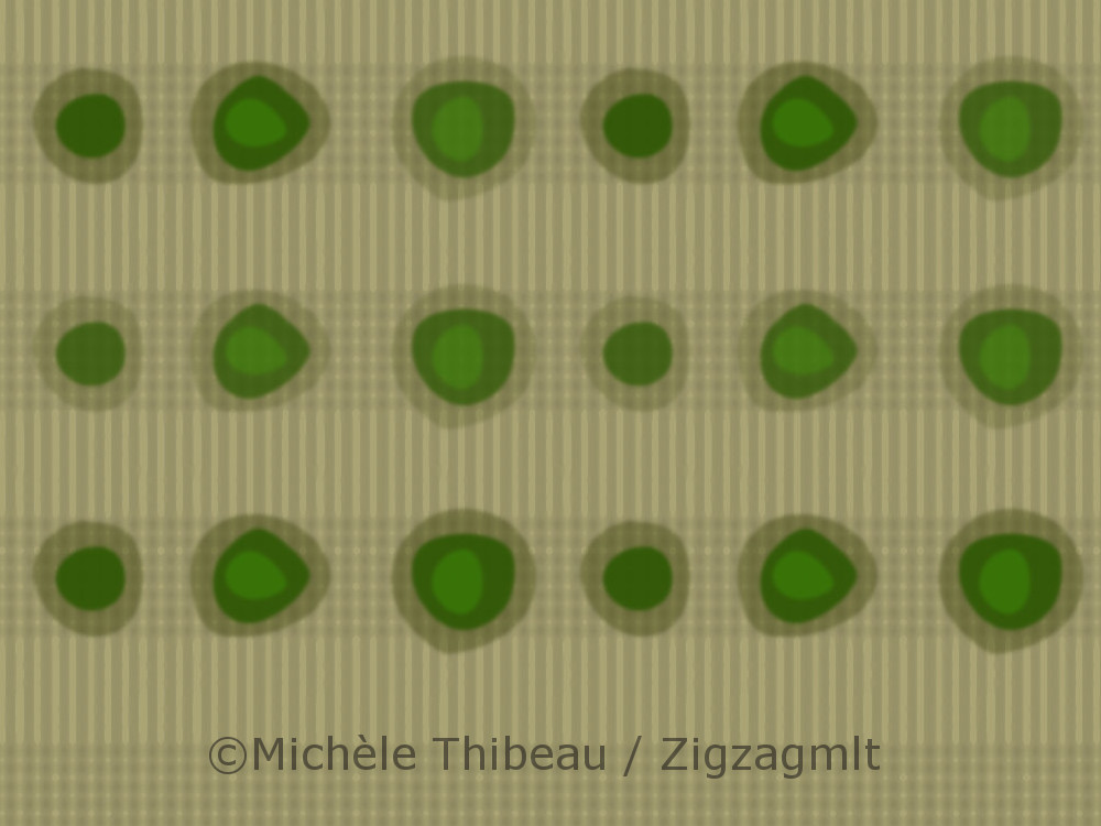 A design from the Fall for Kiwi Collection created in 2015. This series included several different dots and ginghams.