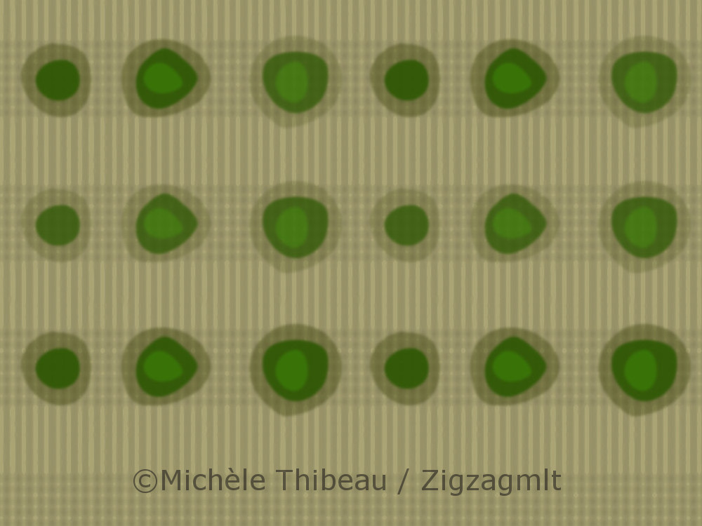 Kiwi 4 Pois Gingham Beige A design from the Fall for Kiwi Collection created in 2015. This series included several different dots and ginghams.